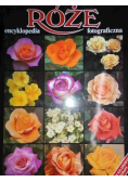 Róże encyklopedia fotograficzna