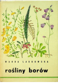 Rośliny borów