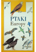 Ptaki Europy
