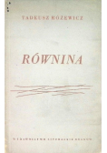Równina