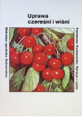 Uprawa czereśni i wiśni