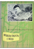 Wśród trzcin i wód