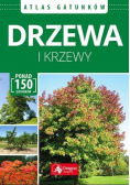 Drzewa i krzewy Atlas