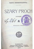 Szary proch