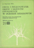 Cięcia i pielęgnowanie drzew i krzewów owocowych w ogrodzie działkowym