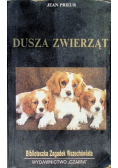 Dusza zwierząt
