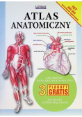 Atlas anatomiczny