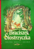 Braciszek Siostrzyczka