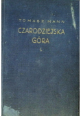 Czarodziejska Góra Część I