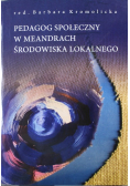 Pedagog społeczny w meandrach środowiska lokalnego