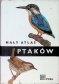 Mały atlas ptaków
