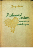 Roślinność Polski w epokach minionych