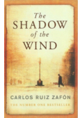 The shadow of the wind