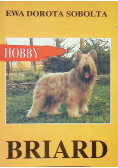 Briard