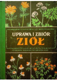 Uprawa i zbiór ziół
