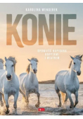 Konie
