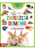 Wszystko wiem! Zwierzęta domowe