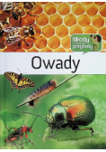 Owady
