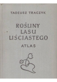 Rośliny lasu liściastego Atlas