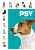 Psy Atlas ras
