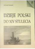 Dzieje Polski do XIV stulecia