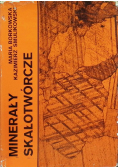 Minerały Skałotwórcze