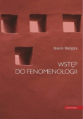 Wstęp do fenomenologii