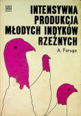 Intensywna produkcja młodych indyków rzeźnych