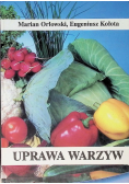 Uprawa warzyw