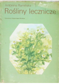 Rośliny lecznicze