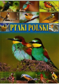 Ptaki Polski