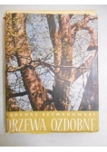 Drzewa ozdobne