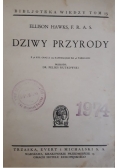 Dziwy przyrody