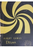 Dżuma, 1947 r.