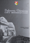 Dąbrowa górnicza szkic monograficzny