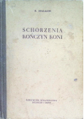 Schorzenia kończyn koni