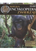 Wielka encyklopedia zwierząt Tom 23 Ryby