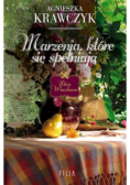 Marzenia które się spełniają