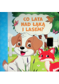 Co lata nad łąką i lasem?