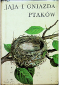 Jaja i gniazda ptaków