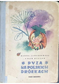 Pyza na polskich dróżkach Część II