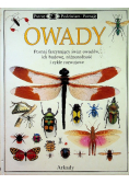 Owady