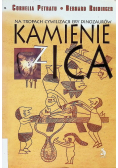 Na tropach cywilizacji ery dinozaurów: Kamienie z Ica