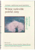 Wiśnie rozkwitłe pośród zimy