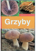 Grzyby