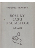 Rośliny lasu liściastego Atlas
