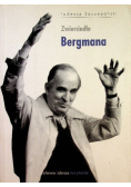 Zwierciadło Bergmana