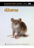 Dżuma