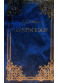 Martin Eden