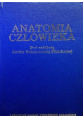 Anatomia człowieka